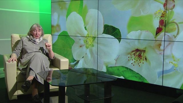 Литературный квартал. Наталья Сухинина – «Аллилуйя!»