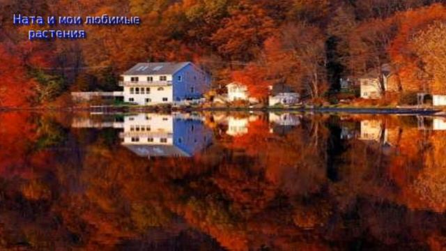 Грунты ( землесмеси) для комнатных растений и всё, что с ними связано.- Видео по запросу смотреть онлайн