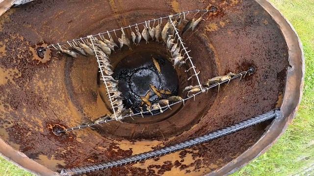 Коптим тугунок в бочке СВОИМИ РУКАМИ смотреть онлайн