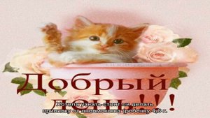 Ребенок сосет большой палец в 3,5 года