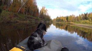 Одиночный поход по таёжным рекам. Уха из хариуса. Лесная изба. Восемь дней один в тайге. Часть 3