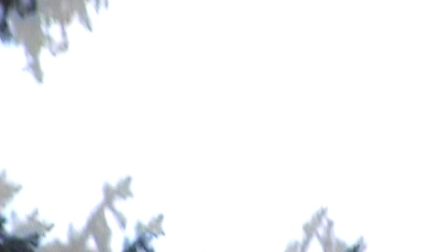 Возложение цветов (core) смотреть онлайн