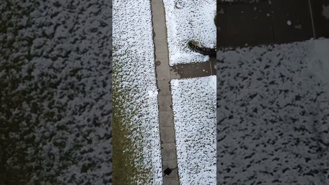 Second Flight