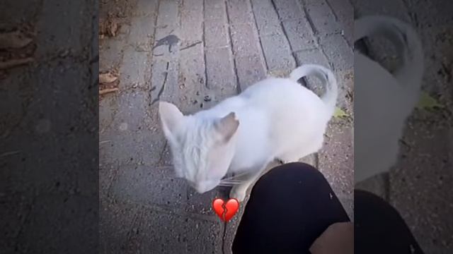 СМОТРИ И СМЕЙСЯ смотреть онлайн