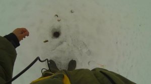 Клёв окуня на мормышку "Иваньковское водохранилище"