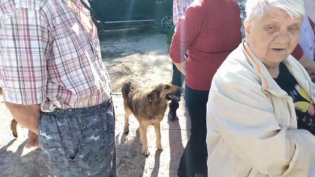 Жители проживающие на улице Трофимова, Мечникова, Гилянская пригласили меня вчера на собрание... смотреть онлайн