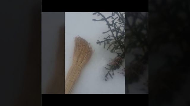 Как избавиться от соседей. смотреть онлайн