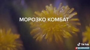 морозко комбат