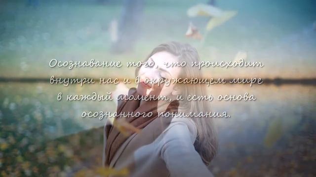Как обрести гармонию в нашем безумном мире? Режим выживания и режим осознанности.