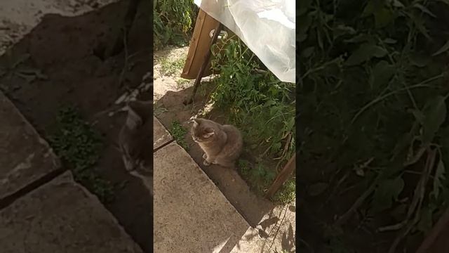 Кто такая Фенька смотреть онлайн