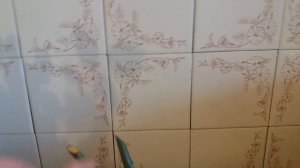 Как из черенка вырастить куст розы.