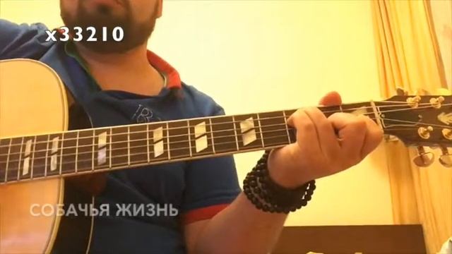 Илья Черт - Собачья жизнь tab смотреть онлайн