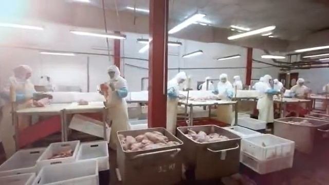 Профессия - изготовитель полуфабрикатов из мяса птицы