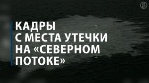 Кадры с места утечки на «Северном потоке»
