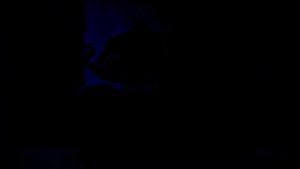 Jack Horner GIGACHAD