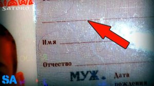 Пригляделся к строчкам в паспорте и увидел, что это не строчки, а маленькие слова!