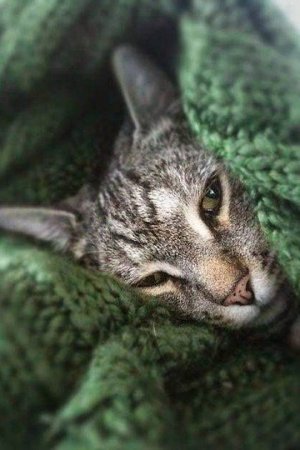 Доброе Утро !Успехов!