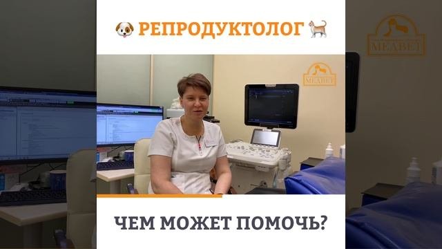 Для чего нужен ветеринарный врач-репродуктолог?