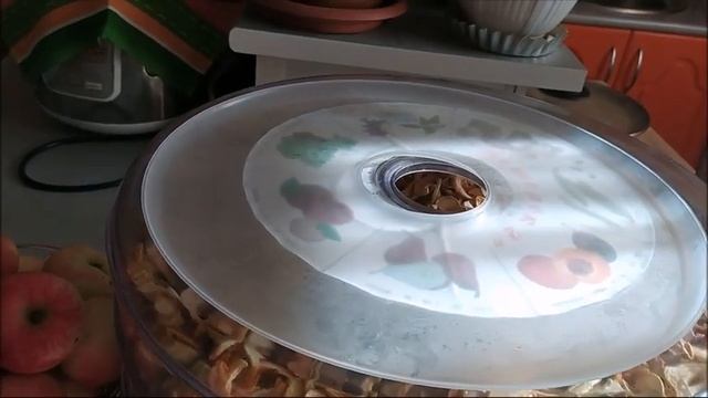 БЫСТРАЯ сушка фруктов,трав,овощей! ЗАГОТОВКИ на зиму! смотреть онлайн