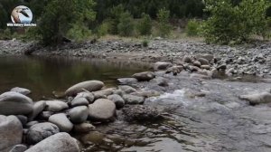 CRYSTAL CLEAR RUNNING WATER STREAM RELAXATION | КРИСТАЛЬНО ЧИСТЫЙ РУЧЕЙ РЕЛАКСАЦИЯ