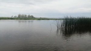 #лодкаднепр #Тохатсу30 Лодка днепр и тохатсу 30.