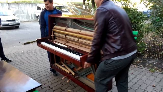 Грузоперевозки на Газели с грузчиками Губкин
