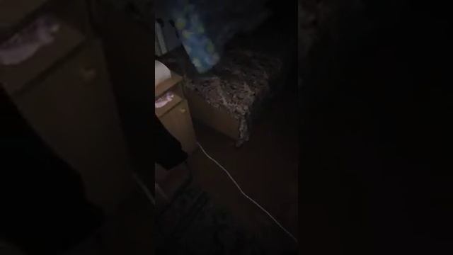 Вот что делают в общаге, когда делать нечиво смотреть онлайн