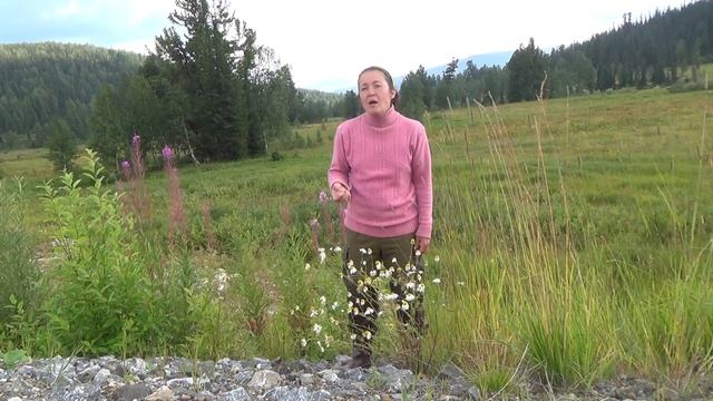 Ромашка. 28 смотреть онлайн