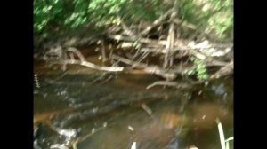 Off road 4x4 Экспедиция на озеро Н. на Паджеро 4 часть 2