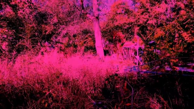 ВЫСШИЕ СИЛЫ. Кто они?Договор с Высшими Силами.Исполнение просьбы. Обращение к Силам. Чёрная Магия.