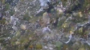 Достопримечательности и красивые места Ямайки