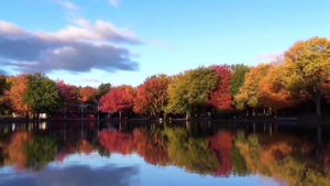 СВОБОДА АНГЕЛИНЕ. ДЕТИ ДОМА! ВИТАЛИК И АНГЕЛИНА.
