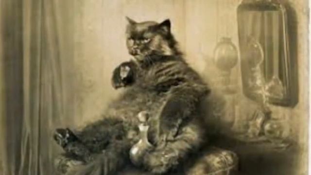 Викторина по творчеству Булгакова смотреть онлайн