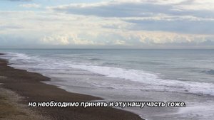 "Уязвимость". 4 августа. Мелоди Битти. Ежедневник для созависимых.
