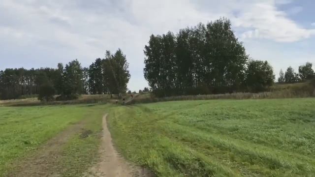 Мы попытались найти грибы на Лохин острове Красногорск. смотреть онлайн