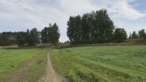 Мы попытались найти грибы на Лохин острове Красногорск.