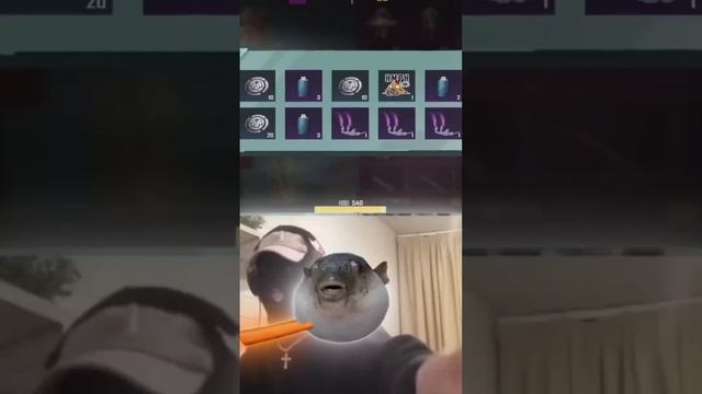 я потратил 100 000 UC и вот что выпало в Pubg Mobile.... смотреть онлайн