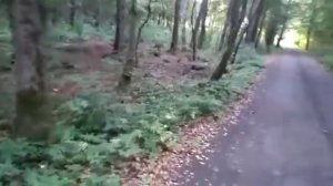 Притча про полную банку. Притча о банке с камнями. Притча о жизни