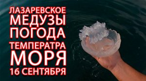 #Лазаревское #сегодня #погода #медуза температура моря 16 сентября 2023 #Сочи
