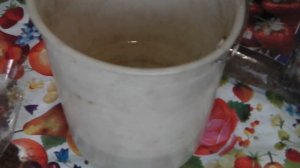 КАК СОХРАНИТЬ ЗЕМЛЯНИКУ ФРИГО ДО ВЫСАДКИ  В ОТКРЫТЫЙ  ГРУНТ СИБИРЬ 2 АПРЕЛЯ