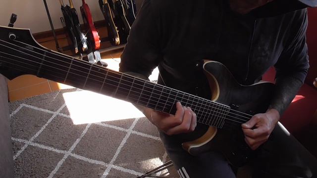 REUNION/WHEN WE WERE ABSTRACT | 7-string GUITAR PLAYTHROUGH | ORIGINAL SONG DIGITAL FOREST смотреть онлайн