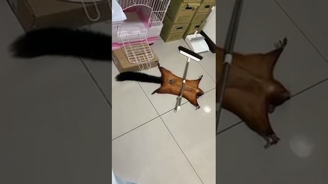 Главный номинант на "Оскар"!