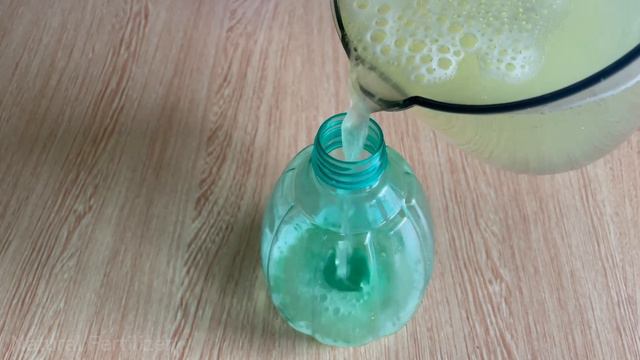 Just 1 glass, Any barren Anthurium species blooms again and again | Natural Fertilizer смотреть онлайн