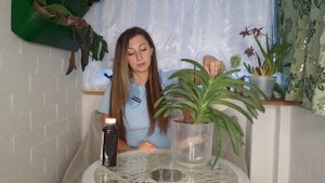 Лучший УХОД за Королевой❗ УХОД за Орхидеей Ванда ❤🔥