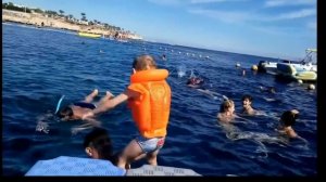 В Шарм-Эль-Шейх! На Красное море!