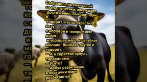 анекдот на день юмор, анекдоты