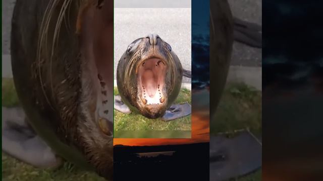 1000002282.mp4 смотреть онлайн