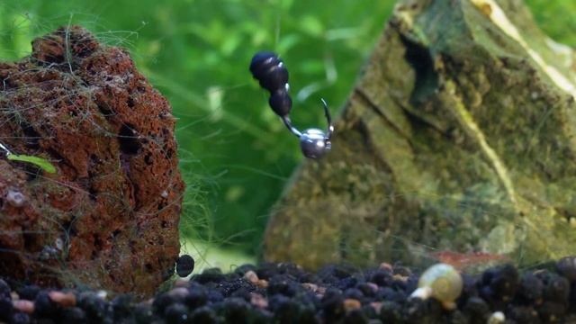 безнасадочная мормышка Термит с дропсом и латунью, работа в аквариуме 30см.