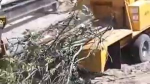 Дробилка древесных отходов DYNAMIC CH 535