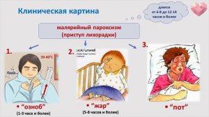 PROCТО О СЛОЖНОМ  Малярия, Инфекционные болезни №11